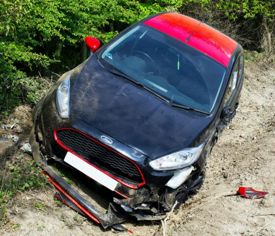 pexels-mikebirdy-11985980